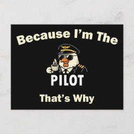  Weil ich der Pilot bin, deshalb  Custom Aviatio Postkarte