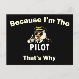Weil ich der Pilot bin, deshalb Custom Aviatio Postkarte