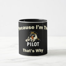 Weil ich der Pilot bin, deshalb Custom Aviatio