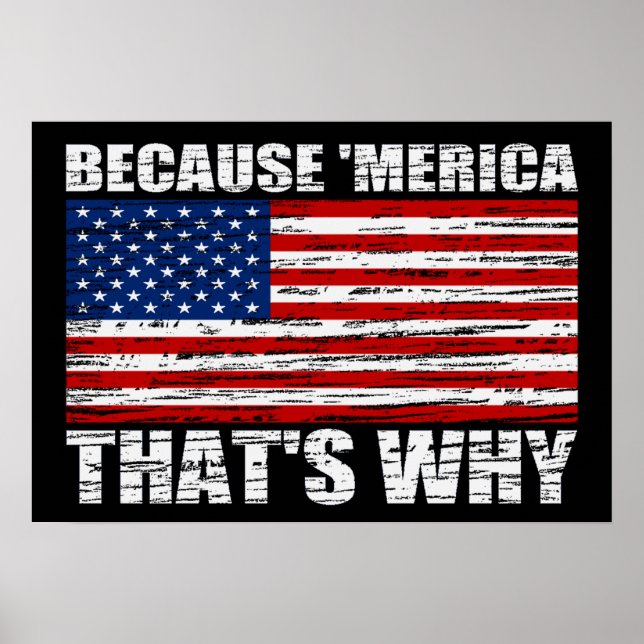 WEIL "MERICA, DAS IST WARUM US Flag Poster (klein) (Vorne)