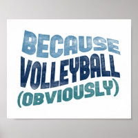 Weil Volleyball Poster - Funny Volleyball Art