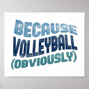 Weil Volleyball Poster - Funny Volleyball Art