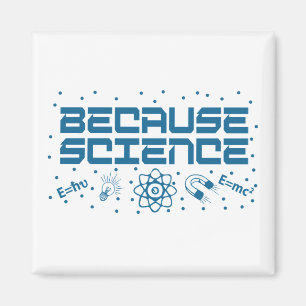 Weil Wissenschaft funny Magnet