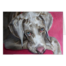 Weimaraner