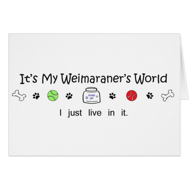 Weimaraner (Devant horizontal)