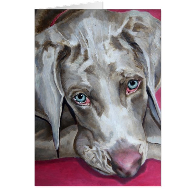 Weimaraner (Vorne)