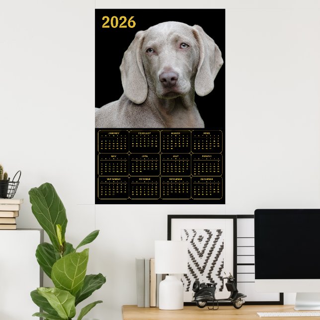 Weimaraner 2026 Kalender Poster (Heimbüro)