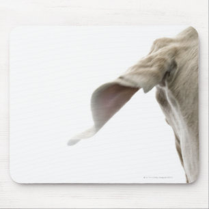 Weimaraner 2 mousepad