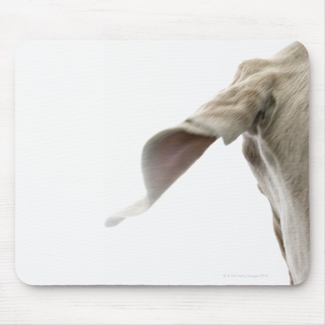 Weimaraner 2 mousepad (Vorne)