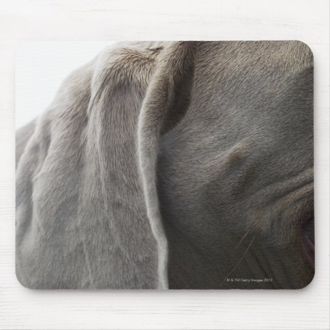 Weimaraner 3 mousepad (Vorne)