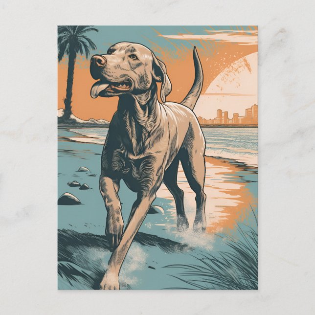 Weimaraner am Strand Postkarte (Vorderseite)