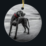 Weimaraner auf Foto des Strand-B&W mit rotem Keramik Ornament<br><div class="desc">Diese Fotografie eines Hundes auf einem Strand bringt so viele Fragen… hervor, warum der Hund ist, der zurück schaut? Wo ist sein Meister? Gibt es ein Sturmrollen herein? Das Foto ist in Schwarzweiss, dennoch ist der des Weimaraners Kragen rot. Dieses Bild hat so viele fantastischen Elemente in ihm. Auf der...</div>