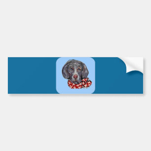 Weimaraner Autoaufkleber