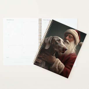 Weimaraner avec Noël Festif du Père Noël