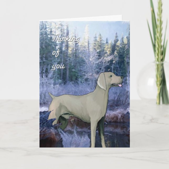 weimaraner_Beileid_card Karte (Vorderseite)