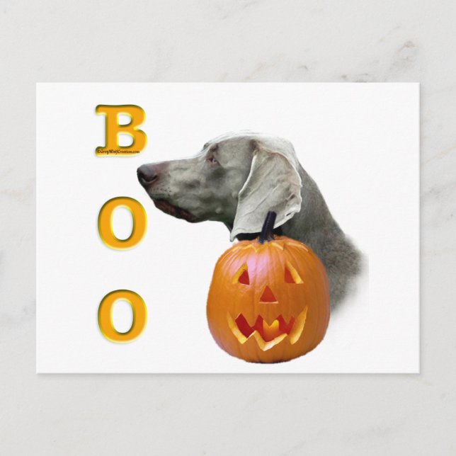 Weimaraner Boo Postkarte (Vorderseite)