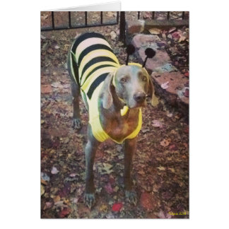 Weimaraner Bumblebee