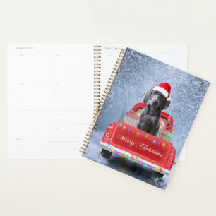 Weimaraner Chien en neige assis sur le camion de N