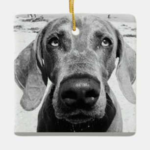 ***WEIMARANER*** CHRISMAS ORNANATION KERAMIKORNAMENT