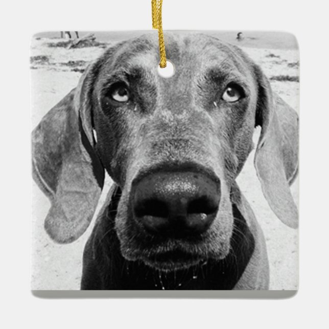 ***WEIMARANER*** CHRISMAS ORNANATION KERAMIKORNAMENT (Vorderseite)