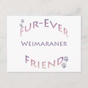 Weimaraner Furever Friend Postkarte