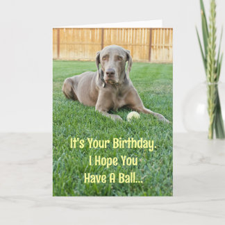 Weimaraner Geburtskarte Karte