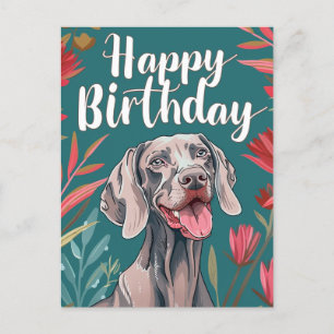 Weimaraner Geburtstag  Postkarte