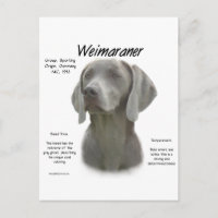 Weimaraner Geschichtsdesign