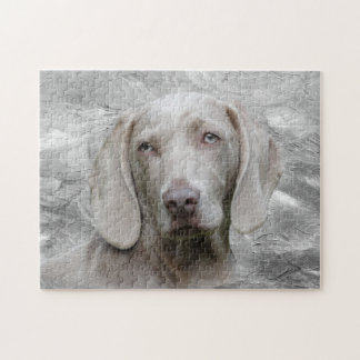 Weimaraner Gesicht