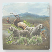 Weimaraner, "Gray Ghost"