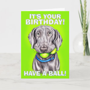 Weimaraner haben einen Ball Karte