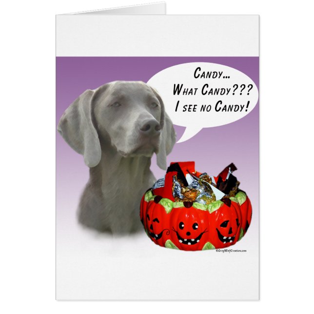 Weimaraner Halloween Candy (Vorne)