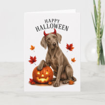 Weimaraner Halloween Teufelshund