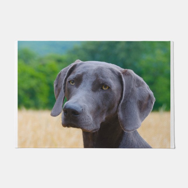 Weimaraner Hund. Fußmatte (Vorderseite)