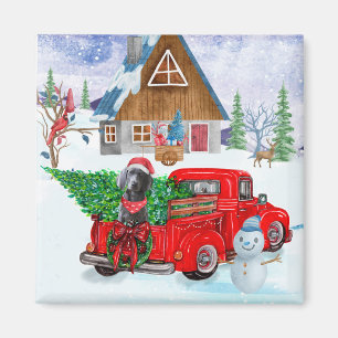 Weimaraner Hund in Weihnachten LKW Schnee Magnet