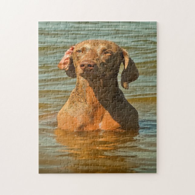 Weimaraner Hund Jigsaws. (Vertikal)