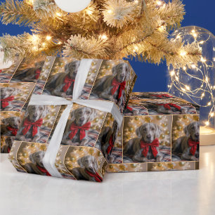 Weimaraner-Hund mit roter Schleife zu Weihnachten Geschenkpapier