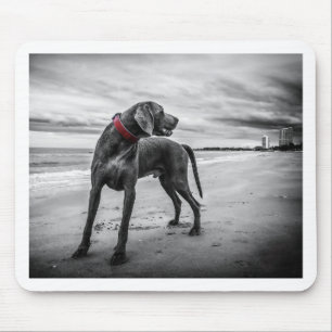 Weimaraner Hund Mousepad