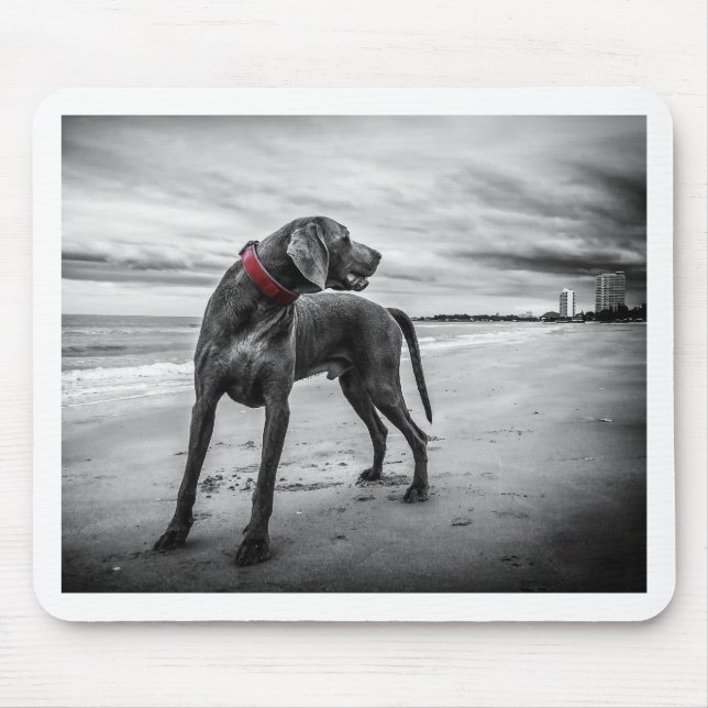 Weimaraner Hund Mousepad (Vorne)