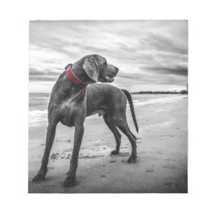 Weimaraner Hund Notizblock