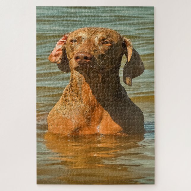 Weimaraner Hund Puzzles. (Vertikal)