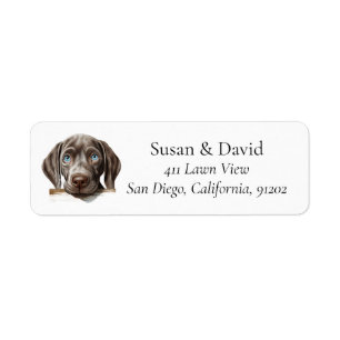 Weimaraner Hund Rasse Heimtiere Liebhaber