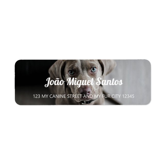 Weimaraner Hund Themed Tier Cool Simple Nice (Vorne)