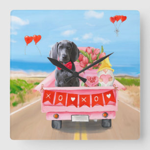 Weimaraner-Hund Valentinstag LKW-Herzen Quadratische Wanduhr