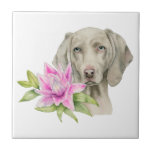 Weimaraner Hunde-und Lilien-Aquarell-Malerei Fliese<br><div class="desc">Dieses ist eine Aquarellmalerei eines Weimaraner Hundes und der rosa Lilie. Weimaraner ist ein großer Hund,  der verwendete,  für die Jagd gezüchtet zu werden. Sie hat ein schönes Silber oder einen Maus-grauen Mantel mit blauen Augen. Dieses war auf heißem gepresstem Papier der Bögen mit Daniel-Smith Watercolorfarben handgemalt</div>