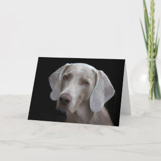 Weimaraner-Hundeschablone Karte