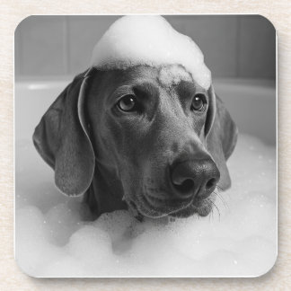 Weimaraner im Bad mit Blasen auf dem Kopf Getränkeuntersetzer