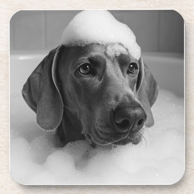 Weimaraner im Bad mit Blasen auf dem Kopf Getränkeuntersetzer (Vorderseite)