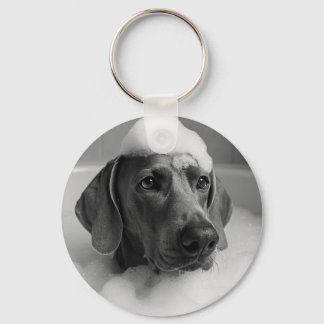 Weimaraner im Bad mit Blasen auf dem Kopf Schlüsselanhänger