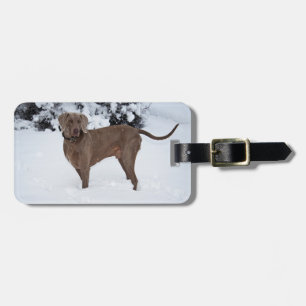 Weimaraner im Winter Gepäckanhänger